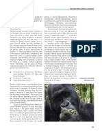 Mountain Gorillas: Astern Gorilla Orilla Beringei