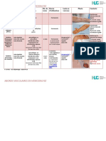 Abords Vasculaires en Dialyse