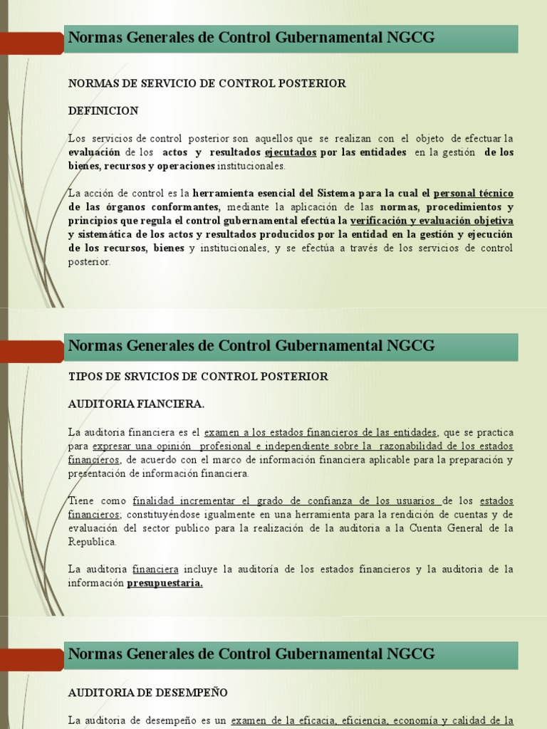 Normas de Control Gubernamental NGCG | PDF | Auditoría financiera ...