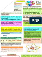 Semana 31 Dia 5 PDF