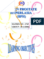 Benign Prostate Hyperplasia 2
