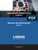 manualsimprobasico.pdf