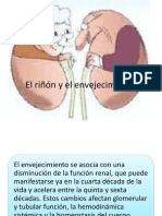 Envejecimiento Renal