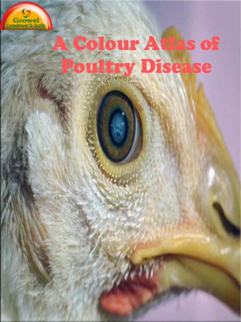 Poultry Disease Color Atlas Guide | PDF | Infection | Virus