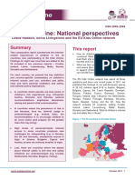Perspectives Report