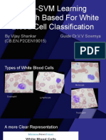 CNN-SVM Learning Approach Based For White Blood Cell Classification