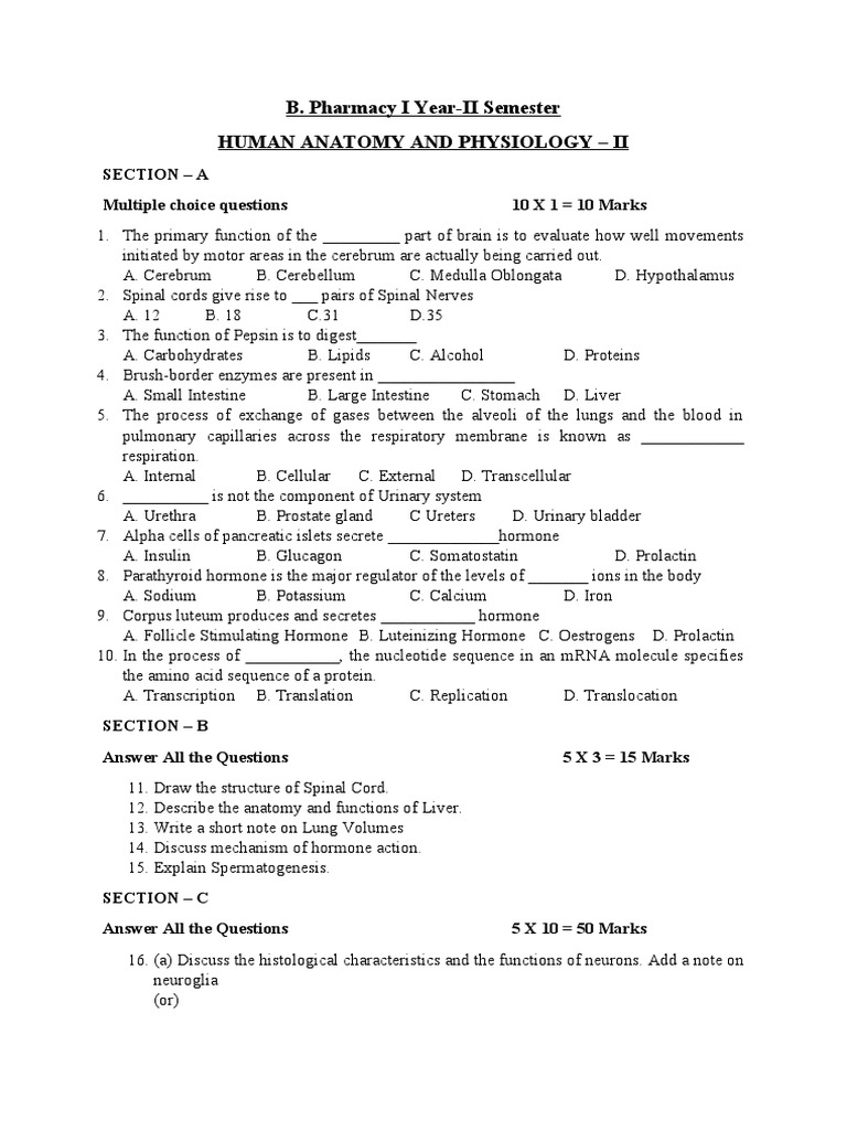 Anatomy and Physiology II Exam Guide | PDF | Human Body | Hormone