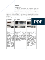 RESULTADOS E DISCUSSÃO - Pilhas Eletroquímicas