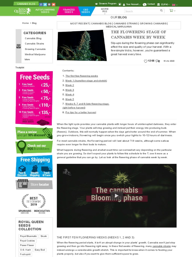 Week 2 Cannabis Flowering Guide | PDF