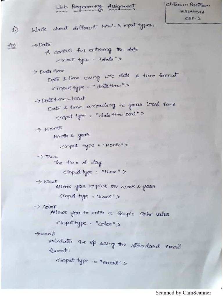 WP Assignment | PDF