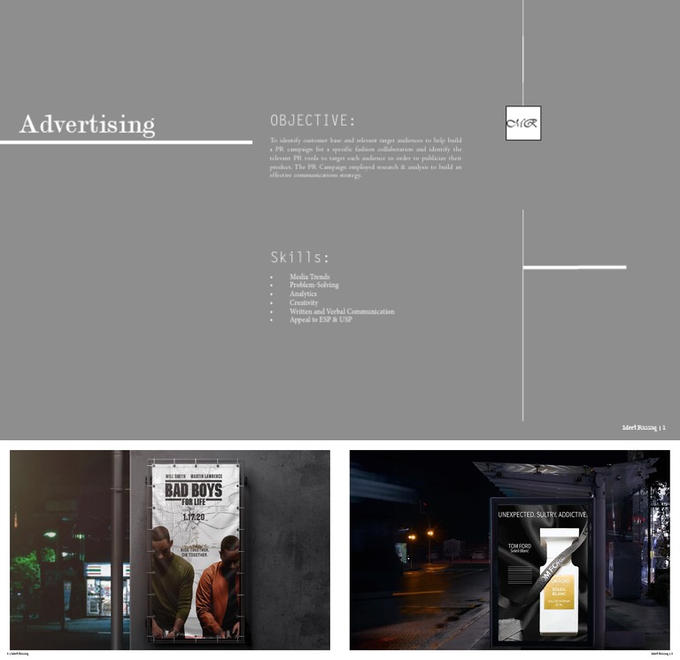 Advertising | PDF