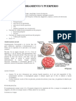 Alumbramiento y Puerperio Sintesis