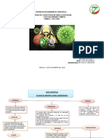 Mapa Conceptual Educacion Fisica