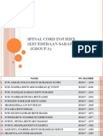 Spinal Cord Injuries Nemn