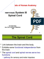 6. Nervous System III
