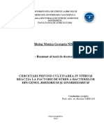 Niste PDF