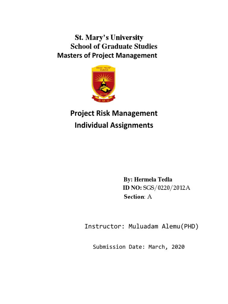 Project Risk Management Techniques | PDF | Risk Management | Risk ...