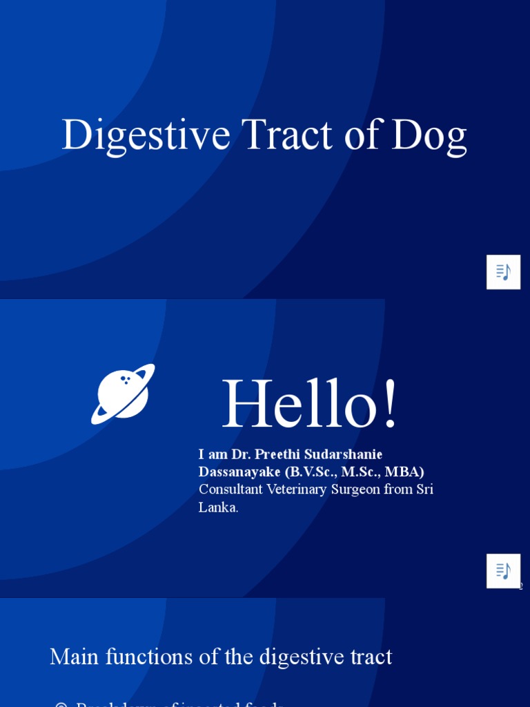 Digestive Tract of Dog (Part 1) | PDF | Esophagus | Human Digestive System