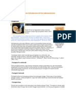 Download perkembangan fetus by anon-46539 SN4891588 doc pdf