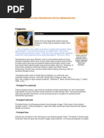 Download perkembangan fetus by anon-46539 SN4891588 doc pdf