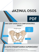 Bazinul Osos