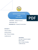 Audit Planning & Documentation