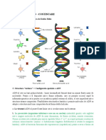 Acizi Nucleu - Adn - 2