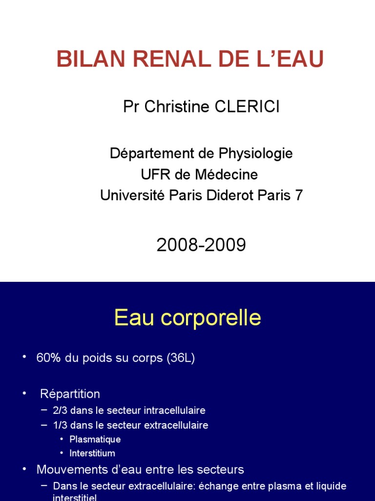 Bilan Renal de L'eau08 PDF PDF Urine Rein — free download