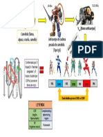 Nanocuerpos VHH: Estructura y aplicaciones