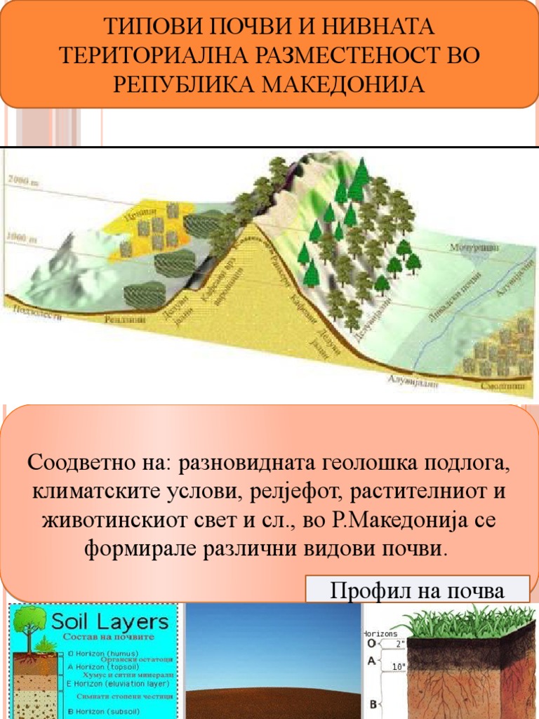 Типови почви и нивната териториална разместеност во Р.М. | PDF