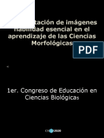 Interpretacion de Imagenes en Las Ciencias Morfologicasbelencuba