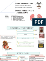 11. SINDROME NEFROTICO Y NEFRITICO (1)