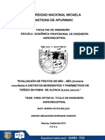 Tesis Unamba Agroindustrias PDF