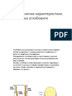 Presentation 5 PDF