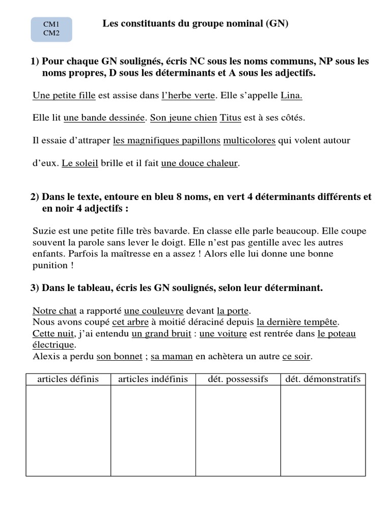 Exercices Sur Le Groupe Nominal : Cm2 Exercices Les Constituants Du Groupe Nominal | PDF