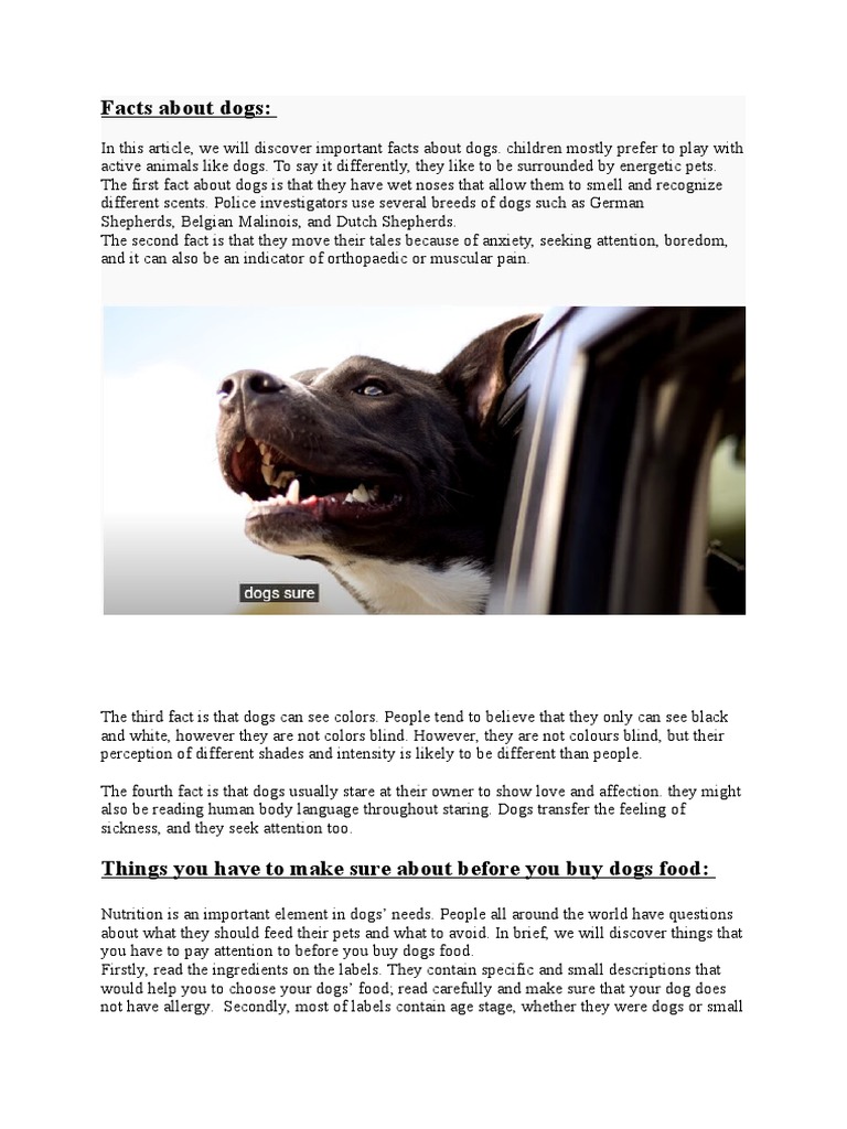 1 000 DOG FACTS FOR KIDS intelligence overview