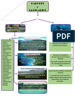 MAPA CONCEPTUAL Parques y Santuarios NACIONALES PDF