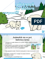 Cum Isi Pastreaza Animalele Caldura Corpului Iarna