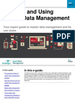 Defining and Using Master Data Management