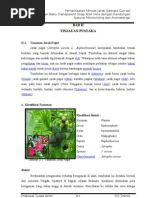 Download BAB II TINJAUAN PUSTAKA by Tika A Lukita SN48921389 doc pdf