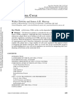 Ciclo Celular Plantas PDF