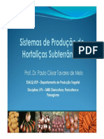 Sistemas de Producao de Hortalicas Subterraneas - Versaob (Modo de Compatibilidade) PDF