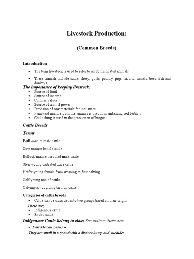 Livestock Production Breeds) PDF Sheep Dairy Cattle