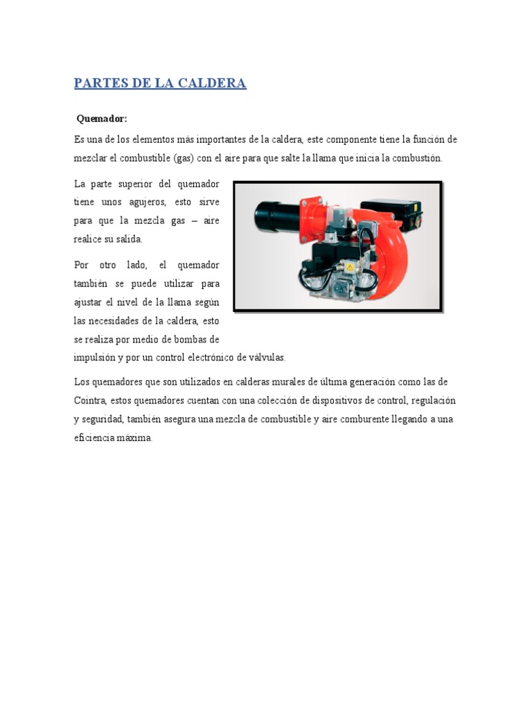 Componentes Esenciales de una Calderas | PDF | Chimenea | Combustión