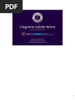 Diagnóstico Diferencial de Ceguera Súbita. S. Cervantes