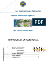 7 - Flujo de Fondos Neto - Formato y Ejemplo