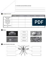 Classification of Living Things - Worksheets.5th Grade