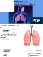 histologijarespiratornisistem-190312223454