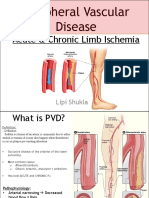 Peripheral Vascular Disease PDF