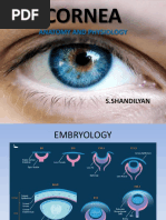 Cornea: Anatomy and Physiology